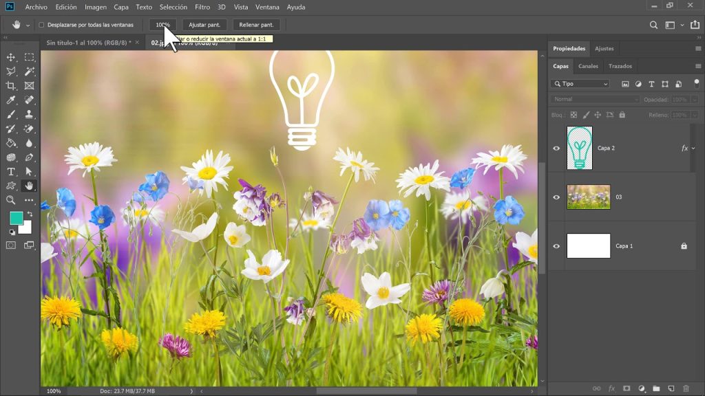 5 Herramientas de mano imprescindibles en Photoshop