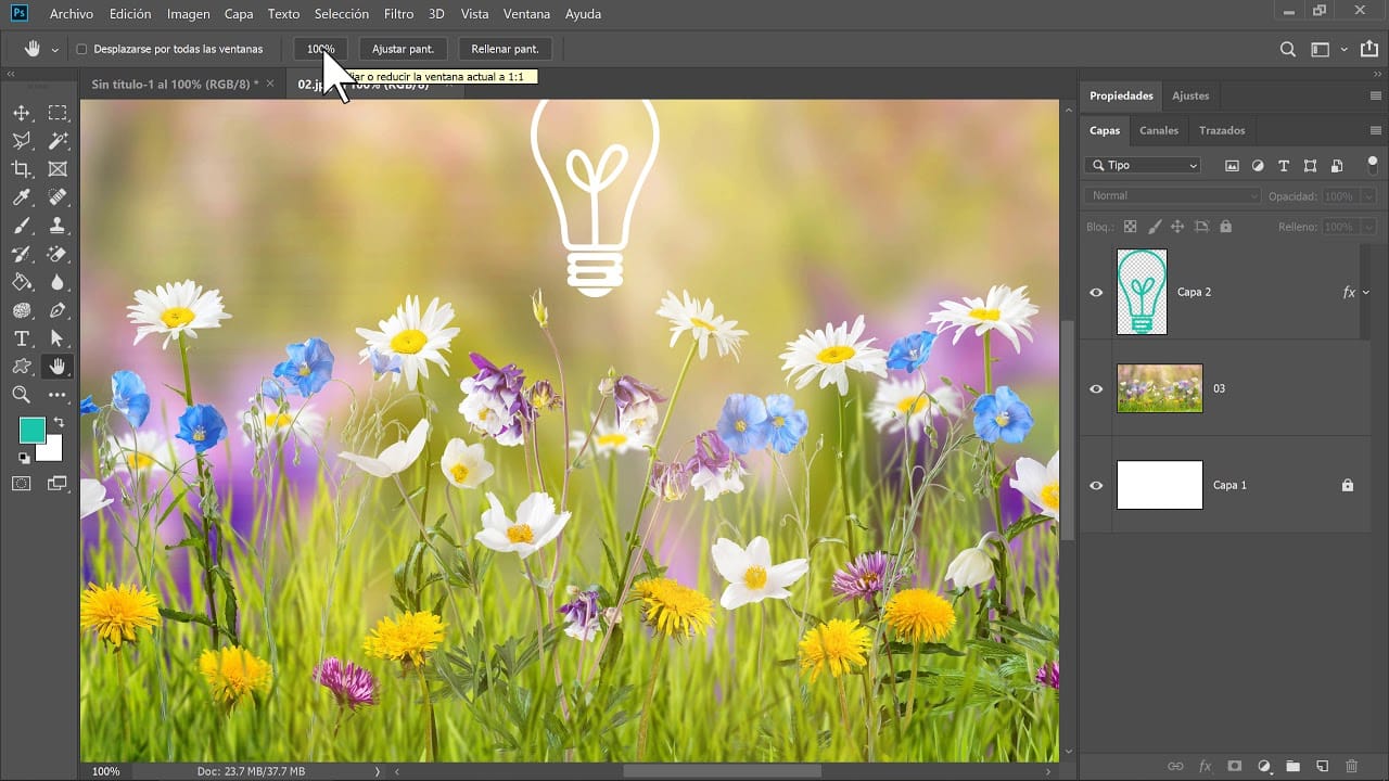 5 Herramientas de mano imprescindibles en Photoshop